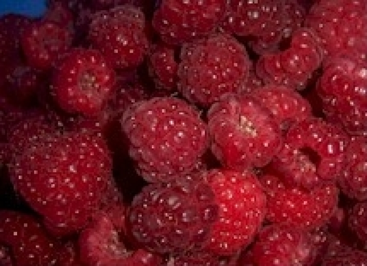 raspberry2